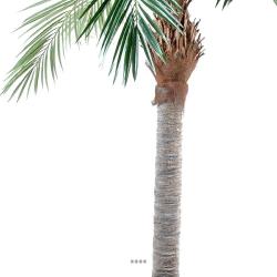 Palmier Dattier Artificiel en pot H 250 cm Vert