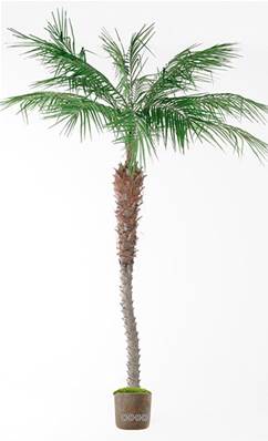 Phoenix Artificiel Palmier en pot H 210 cm