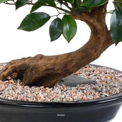 Bonsaï Ficus Artificiel H 40 cm D 41 cm en pot