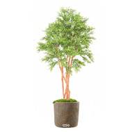 Faux Eucalyptus en pot ext  multri-troncs H 150 cm Vert