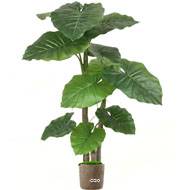 Faux Colocasia en pot H 150 cm 3 troncs