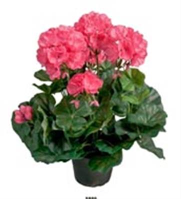 Geranium Artificiels Rose Fushia en pot H 35 cm