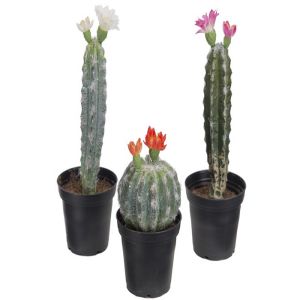 Cactées, Cactus et Succulentes fausses  plantes X3 en pot H 13-20 cm