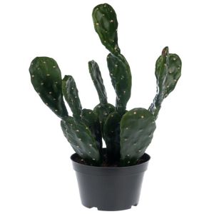 Cactée Cactus Opuntia artificiel Qualité Décorateur en pot H 50 cm D 25 cm