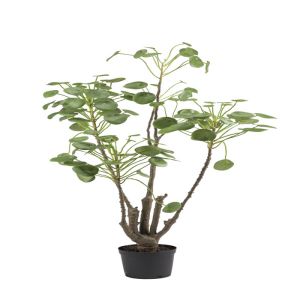 Oreilles d'éléphant, plante verte synthétique en pot H 152 cm, D 52 cm