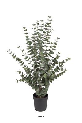 Eucalyptus à feuilles rondes synthétique en pot H 110 cm D 70 cm