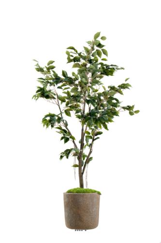 Ficus Benjamina Artificiel tronc PE en pot superbe H 150 cm D 80 cm Vert