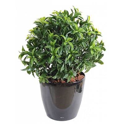 Faux Laurier en pot buisson extérieur  H 45 cm Vert