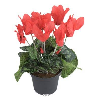 Fleurs Cyclamen Artificiel Rouge en pot H 20 cm