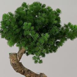 Pinus Bonsaï Artificiel H 38 cm en pot