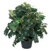 Cissus rhombifolia artificiel en pot, D 23 cm, H 35 cm