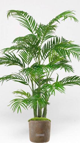 Palmier Areca artificiel H 120 cm multi-troncs tres dense en pot