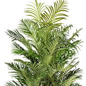 Areca Artificiel Palmier en pot H 220 cm 13 troncs