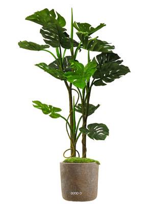 Monstera deliciosa artificiel en pot 3 troncs 14 grandes feuilles H 135 cm Vert
