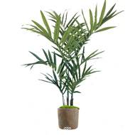 Palmier kentia factice en pot 12 palmes H 210 cm en kit Vert 