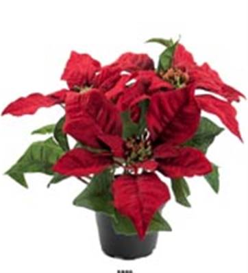 5 Fleurs Poinsettia Artificiel Rouge en pot H 26 cm