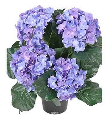 Fleurs Hortensias Artificiels Bleu-Royal en pot H 40 cm
