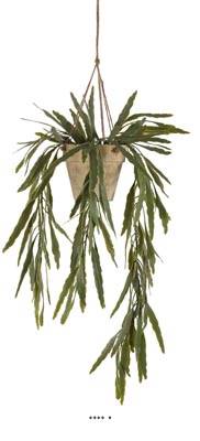 Fausse fougère asplenium à suspendre en pot  H 70 cm Vert