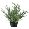 Eucalyptus artificiel en pot H 40 cm D 28 cm Feuillage factice magnifique