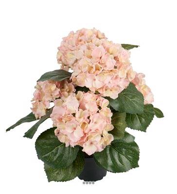 Fleurs Hortensias Artificiels Rose-Crème en pot H 40 cm