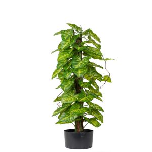 Hosta sur pied, plante verte synthétique en pot H 90 cm, D 26 cm