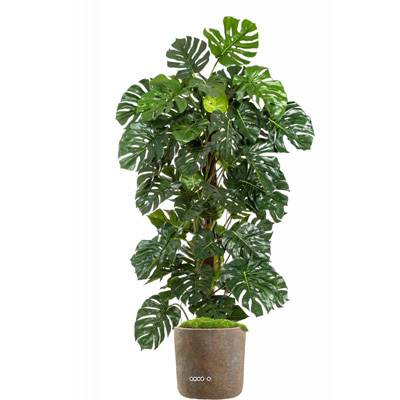 Monstera artificiel sur pied, en pot H 160 cm