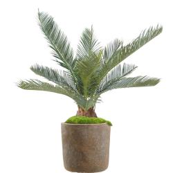 Palmier Cycas Artificiel en pot H 50 cm Vert