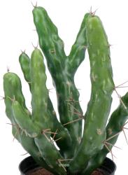Cactée Cactus Cierge Artificiel en pot H 22 cm