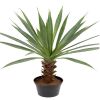 Agave artificiel en pot, sur grand pied, H 40 cm, D 30 cm