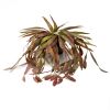 Rhipsalis cruciformis, plante verte synthétique en pot L 40 cm, D 30 cm