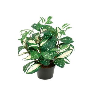 Pothos, feuillage varié, synthétique en pot H 35 cm, D 28 cm