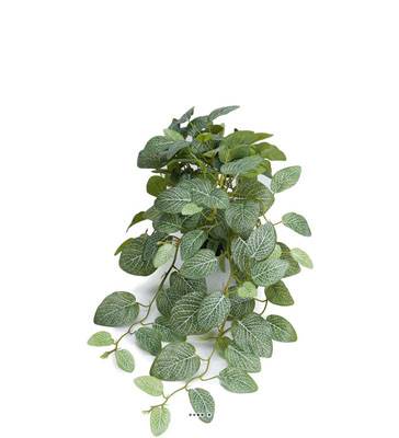 Faux Fittonia au feuillage retombant en pot, L 50 cm
