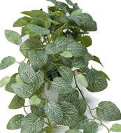 Faux Fittonia au feuillage retombant en pot, L 50 cm