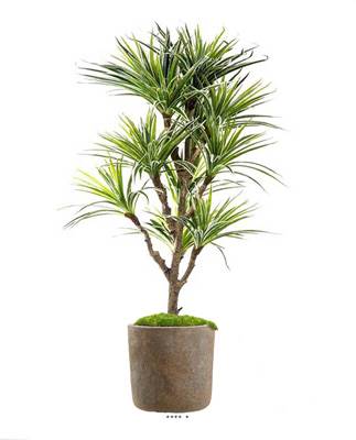 Faux dracaena en pot H 120 cm 368 grandes feuilles