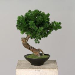 Pinus Bonsaï Artificiel H 38 cm en pot