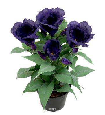 Fausse plante fleurie, Lisianthus Mauve violet en pot, H 30 cm