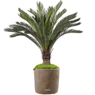 Cycas Artificiel Palmier en pot H 130 cm