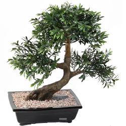 Bonsaï Saule Noir Artificiel H 70 cm D 60 cm en pot