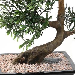 Bonsaï Saule Noir Artificiel H 70 cm D 60 cm en pot