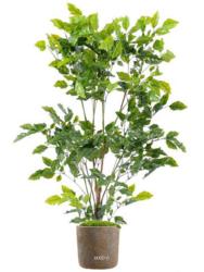 Fausse palissandre plastique anti-UV en pot H 120 cm Vert