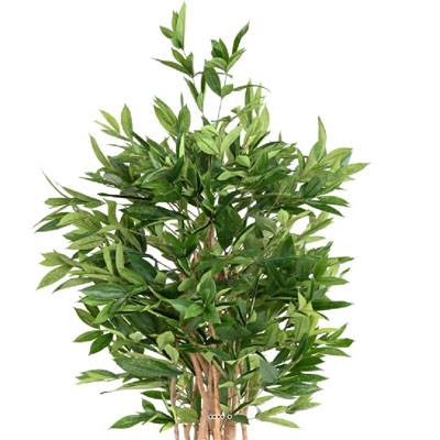 Superbe Dracaena surculosa arbre factice en pot  H 155 cm