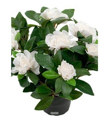 Plante Fleurie Gardenia Artificielle en pot H 25 cm