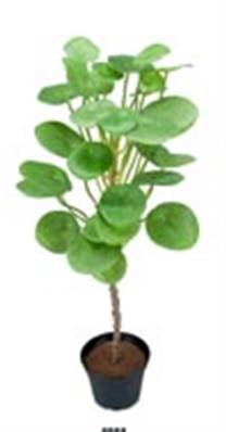 Oreilles d'éléphant plante verte Artificielle en pot H 50 cm