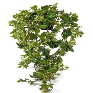 Lierre panaché artificiel retombant en pot, L 85 cm, D 32 cm