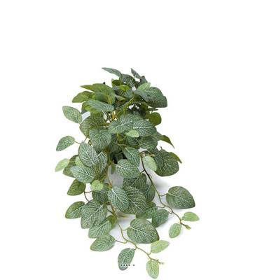 Faux Fittonia au feuillage retombant en pot, L 50 cm