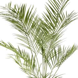 Areca Artificiel Palmier en pot H 180 cm  Anti-UV