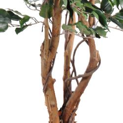 Ficus Exotique Artificiel Arbre en pot multitroncs naturels H 210 cm