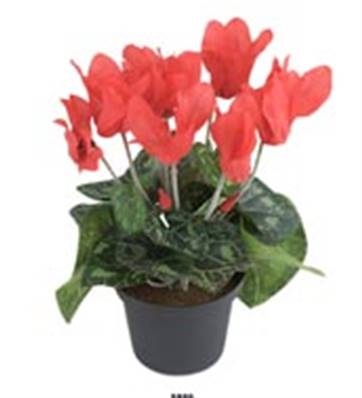 Fleurs Cyclamen Artificiel Rouge en pot H 20 cm