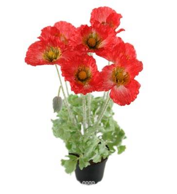 Fleurs Pavot Artificiel Rouge en pot H 45 cm