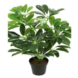 Plante Schefflera Artificielle en pot H 40 cm D 35 cm
